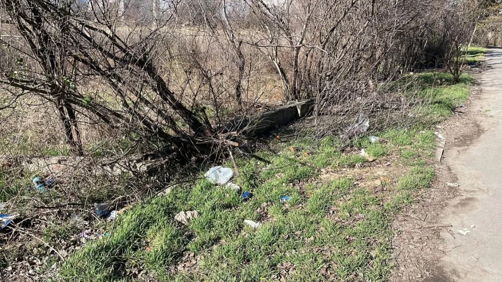 Plimbare printre gunoaie, în Constanța – foto 4