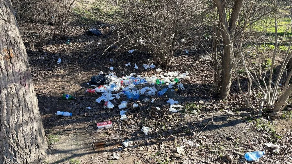 Plimbare printre gunoaie, în Constanța – foto 3