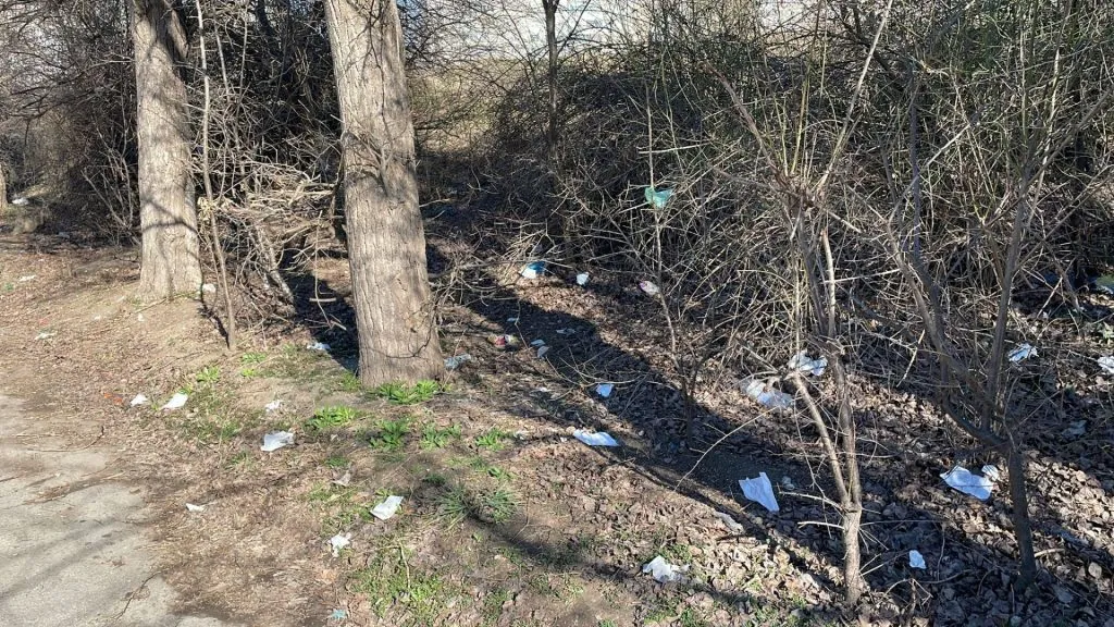 Plimbare printre gunoaie, în Constanța – foto 2