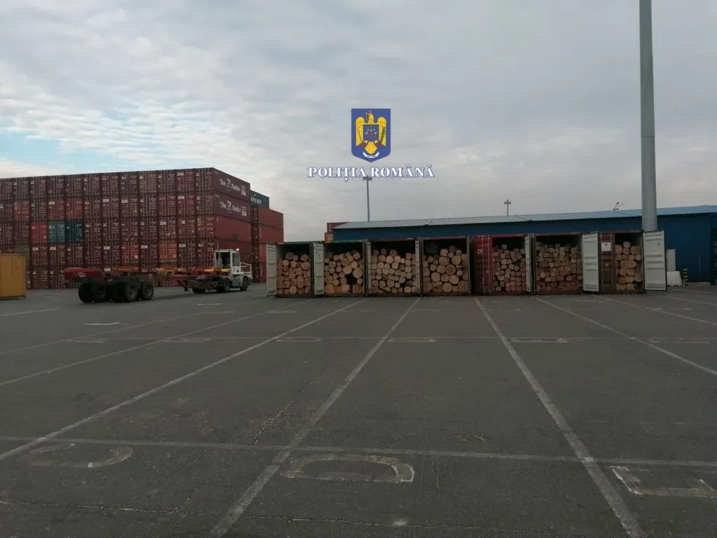 Constanţa: Lemn de stejar exportat cu acte nereale ca fiind cherestea, de 100.000 euro, confiscat în portul maritim – foto 3