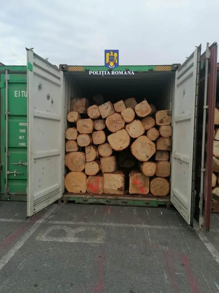 Constanţa: Lemn de stejar exportat cu acte nereale ca fiind cherestea, de 100.000 euro, confiscat în portul maritim – foto 2