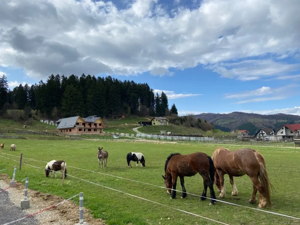 Bilanț de vacanță când mizezi pe „împreună” și „doar noi” – foto 2