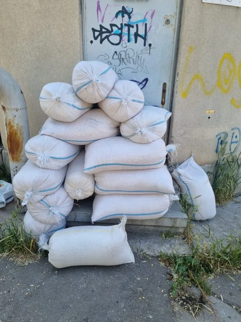 Femeie prinsă în flagrant, în Constanța. A furat peste 900 de kilograme porumb dintr-un tren – foto 2