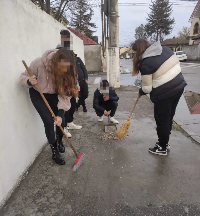 Semințele, bunul simț, amenda și… mătura   – foto 2