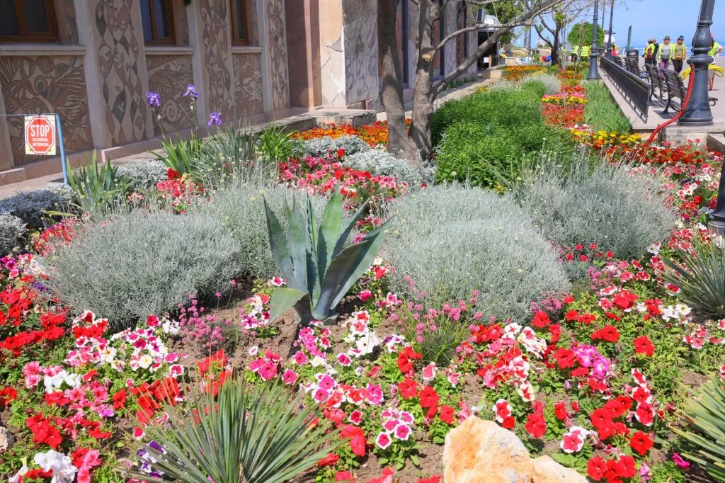 Constanța înflorește… la propriu! Peste 30.000 de flori vor fi plantate în mai multe zone din oraș – foto 4