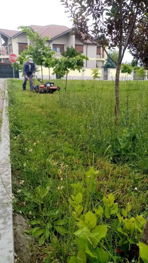 Se lucrează la noua față a orașului Năvodari – foto 2
