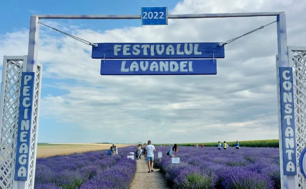 S-a încheiat cea de-a patra ediție a Festivalului Lavandei de la Pecineaga – foto 2