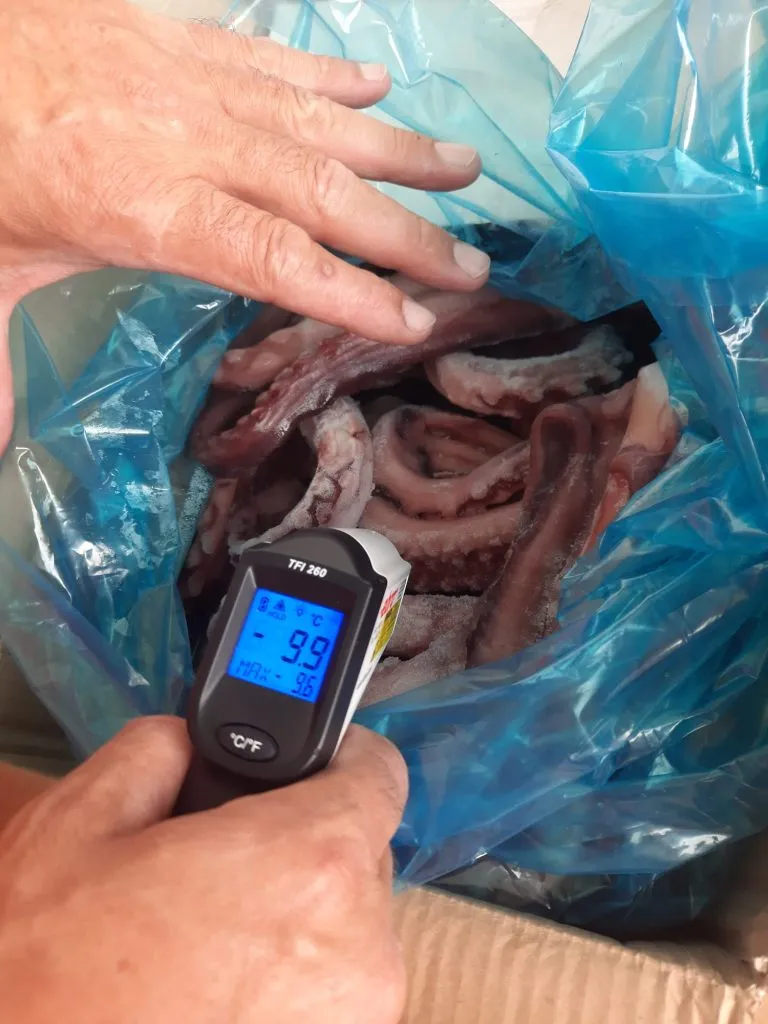 Constanța: Sute de kilograme de pește și fructe de mare congelate, depozitate „la temperatura camerei” – foto 6