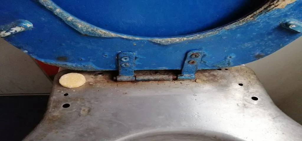 IMAGINILE RUȘINII. Așa aducem turiștii la mare! – foto 2