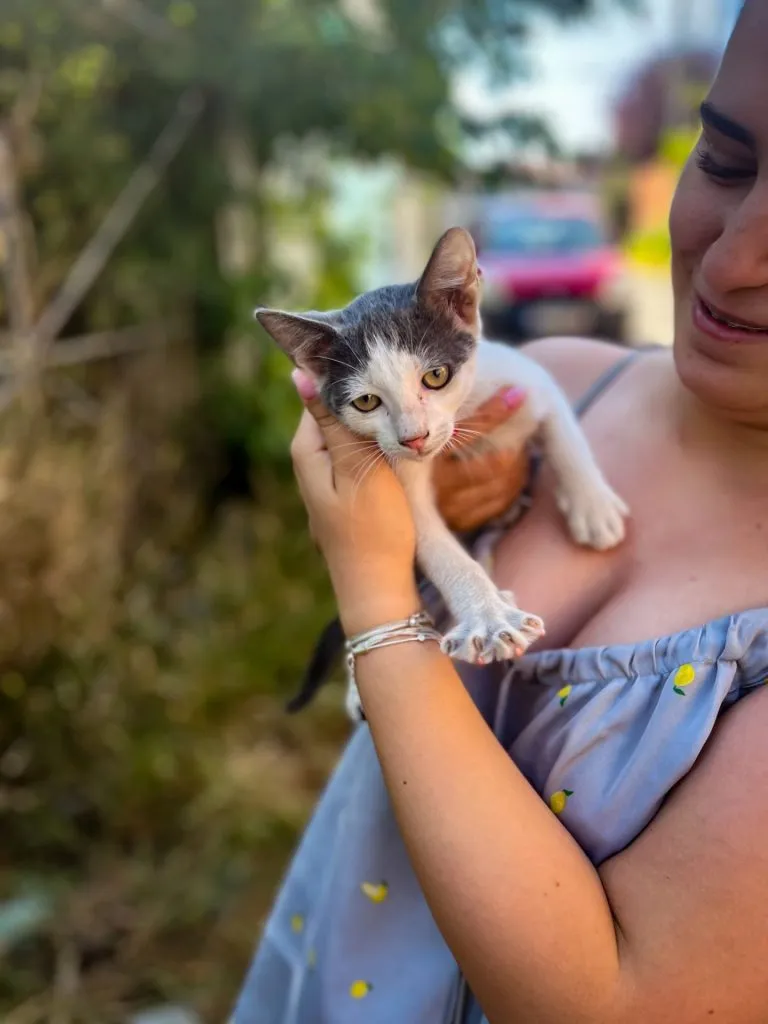 Misiune specială a pompierilor tulceni: Au salvat o pisicuță dintr-o clădire părăsită – foto 5