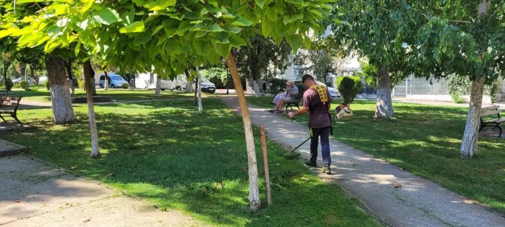 Lucrări de îngrijire a spațiilor verzi în parcurile din Năvodari – foto 3