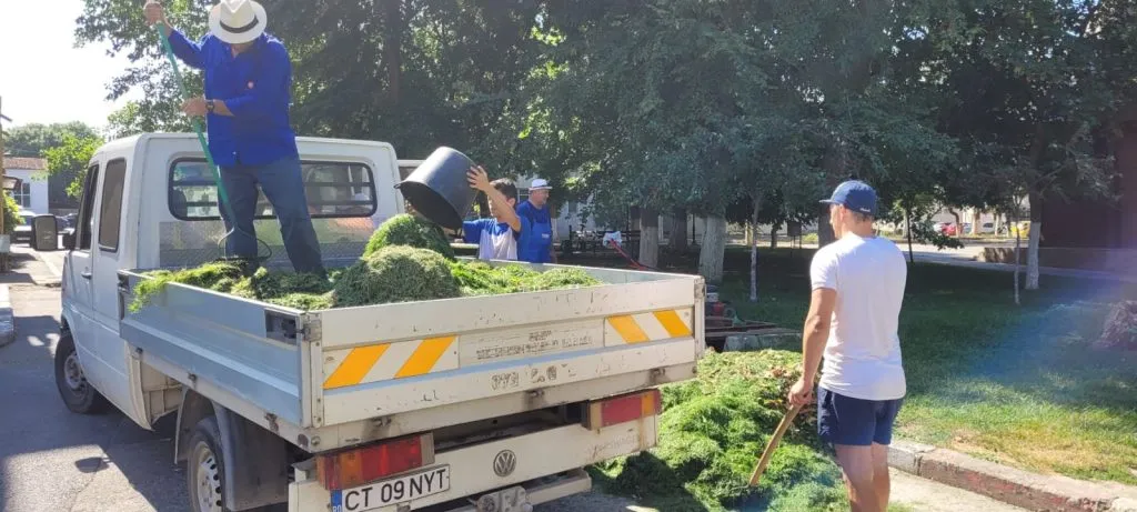 Lucrări de îngrijire a spațiilor verzi în parcurile din Năvodari – foto 5