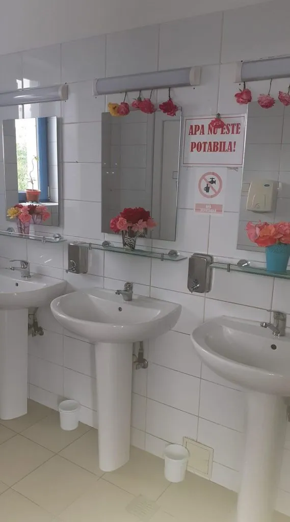 Cu nea Buruiană se face… primăvară, pe Autostrada Soarelui  – foto 3