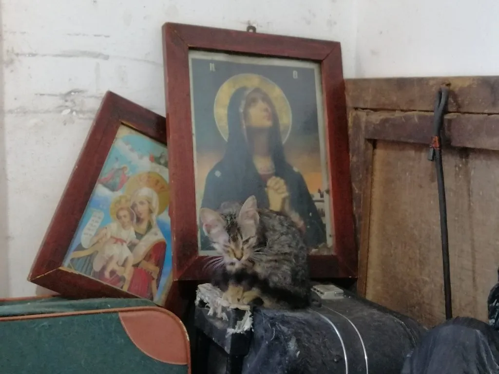 Un bătrân bolnav din Constanța a salvat zeci de vieți  – foto 2