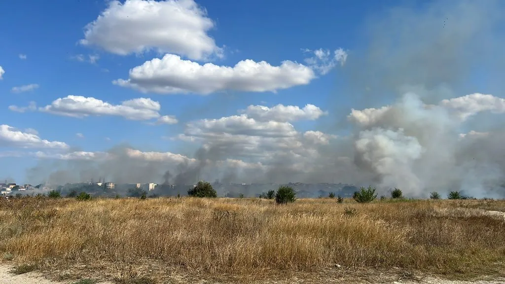 Incendiu violent de vegetație uscată în Medgidia (FOTO/VIDEO) – foto 3