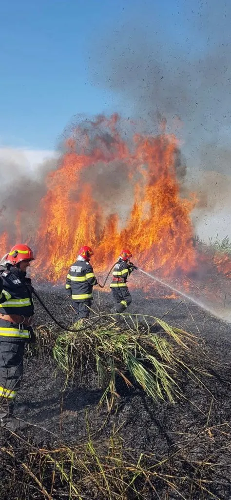 Județul Tulcea: Incendiu de vegetație uscată în apropiere de Grindu – foto 2