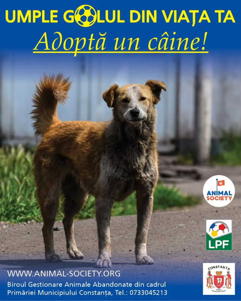 Campania ”Umple Golul din Viața Ta” ajunge în premieră la Constanța – foto 2