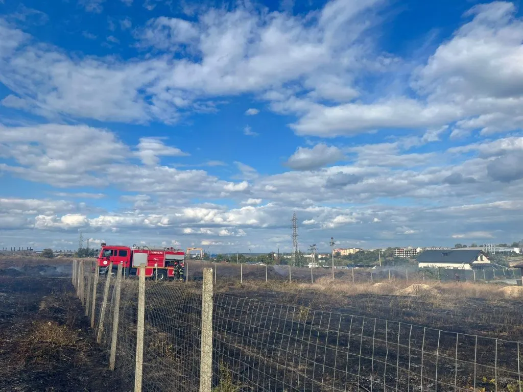 Incendiu de vegetație uscată, stins la timp – foto 3
