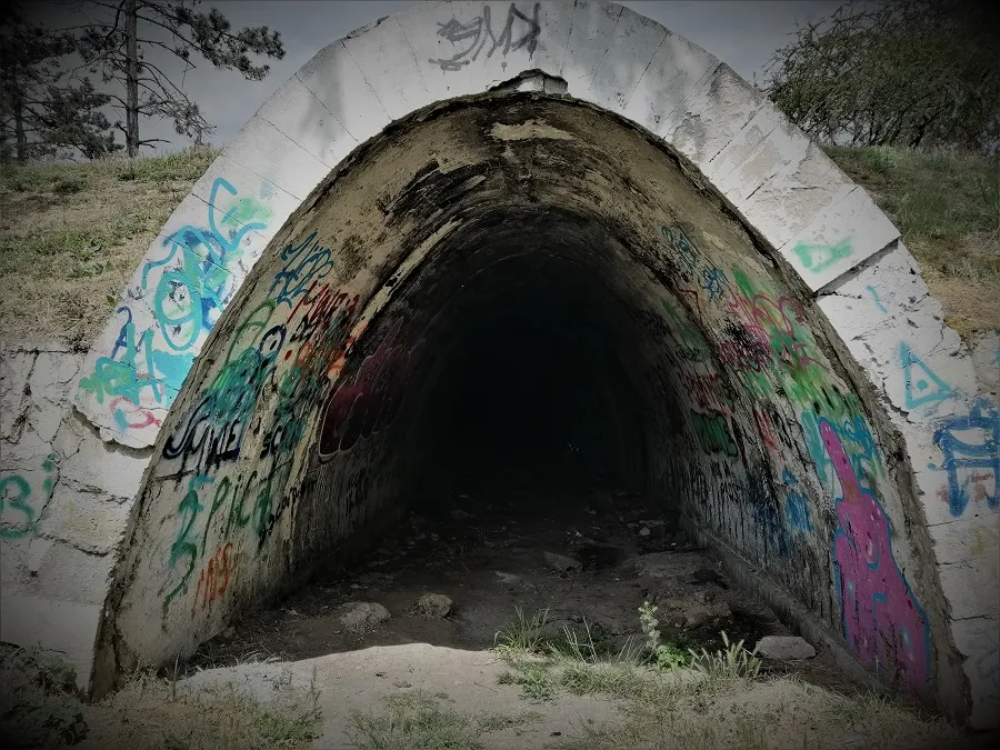 Dosare secrete: Crime înfiorătoare, ucigași în libertate! – foto 7