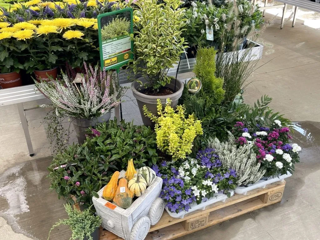 HORNBACH își deschide porțile la Constanța – foto 10