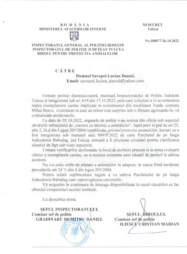 Câini loviți cu sadism! Poliția: „Nu sunt în pericol și nu-i confiscăm!” – foto 3
