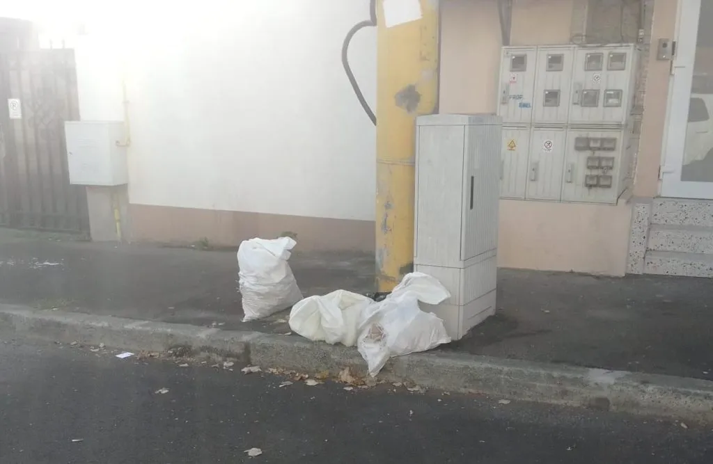 Peste 240 de amenzi pentru depozitarea ilegală de deșeuri pe domeniul public – foto 2