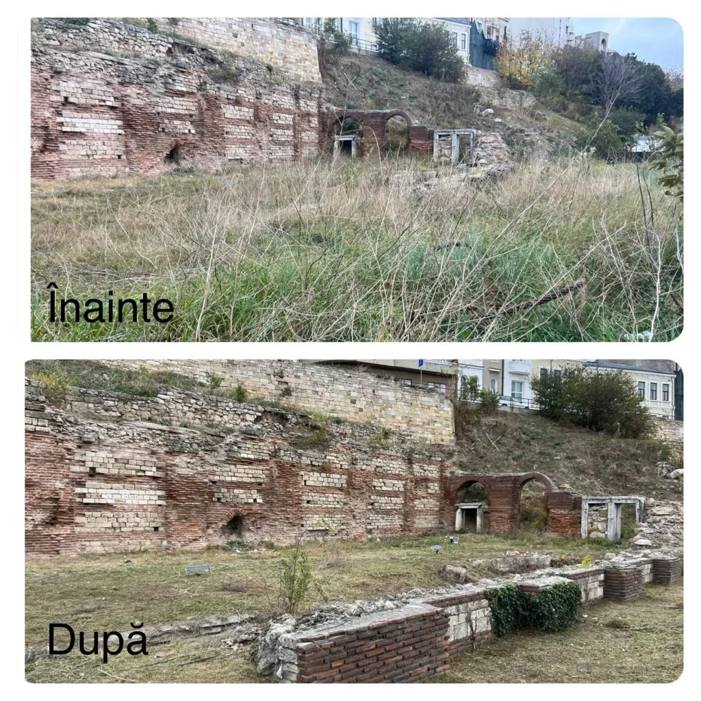 Termele Romane din Constanța scapă de buruieni  – foto 2