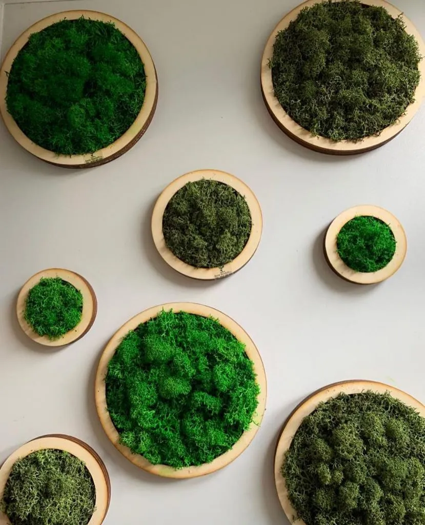 Deco Verde Viu – Artă și natură la tine acasă – foto 5