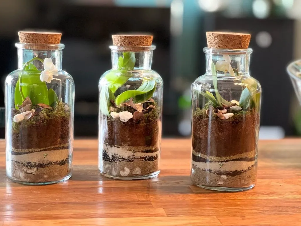 Deco Verde Viu – Artă și natură la tine acasă – foto 3