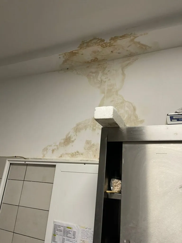 Restaurant din Constanța, închis de ANPC: gândaci, rugină, ambalaje refolosite și infiltrații în tavan (FOTO/VIDEO) – foto 4