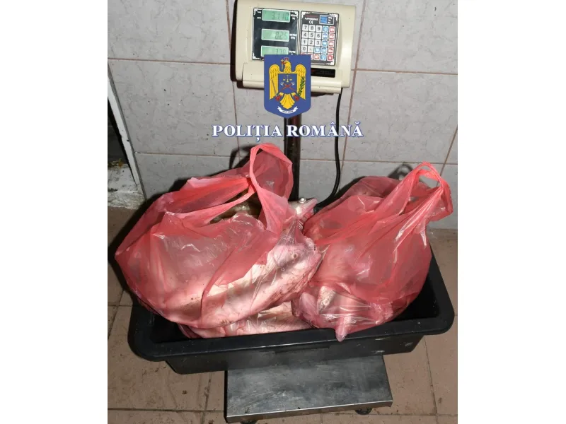 Bilanț alarmant! Delta Dunării, raiul braconierilor! – foto 2