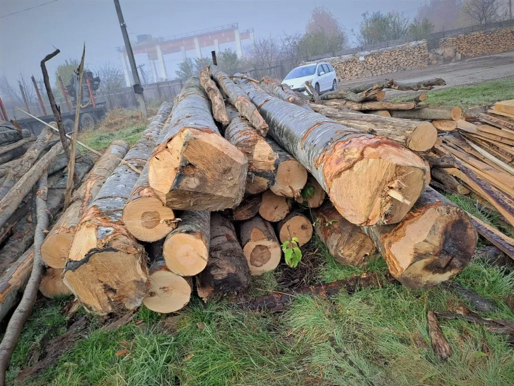 Câți metri cubi de lemn de foc a vândut Romsilva pentru populaţie – foto 2