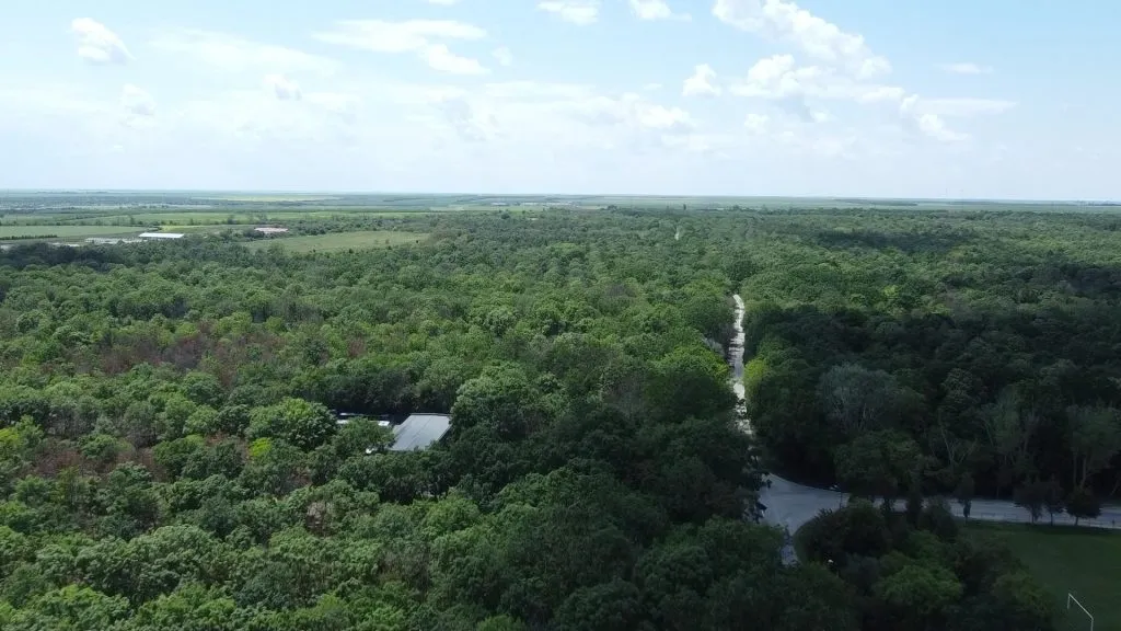 Decăderea, explicată în imagini: Mamaia verde, mâncată azi de beton! – foto 5