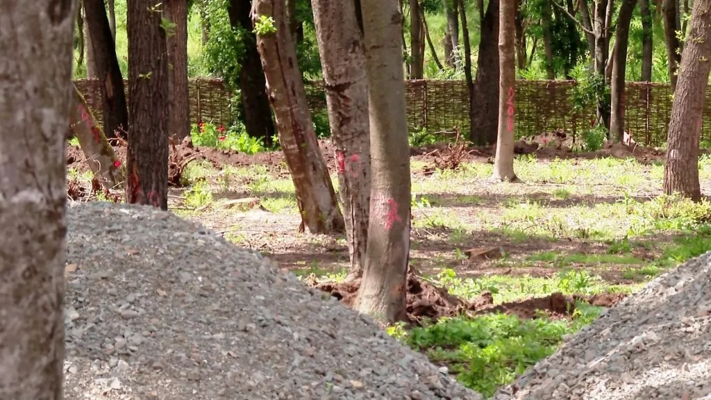 Decăderea, explicată în imagini: Mamaia verde, mâncată azi de beton! – foto 4