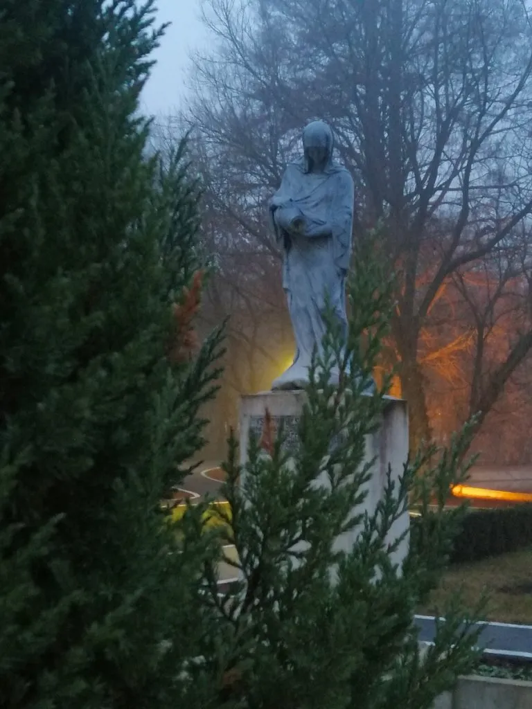 Bravo, Constanța! Ne-a bătut și Caracalul! – foto 7