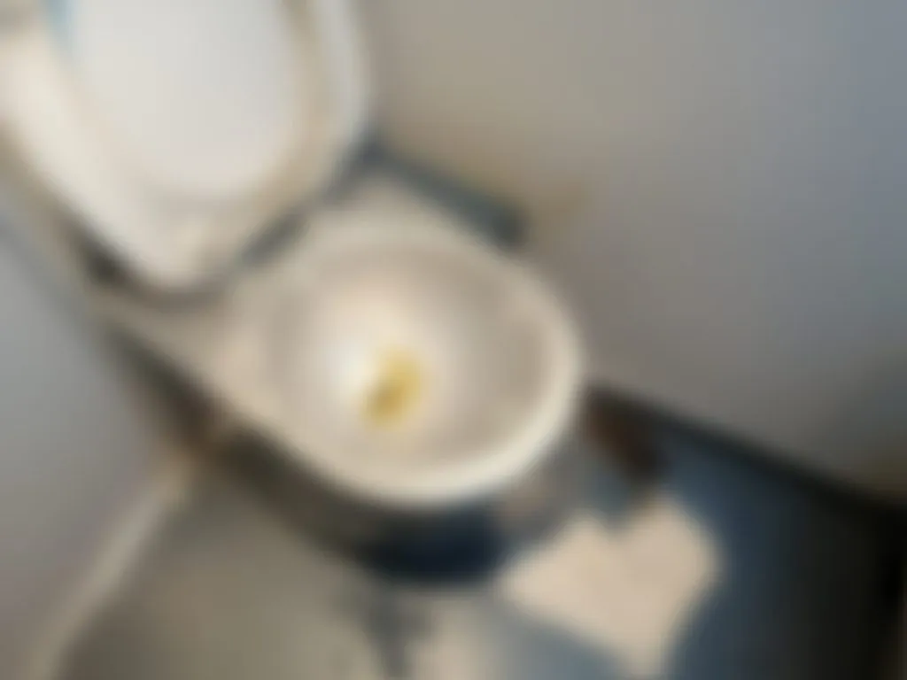 Nesimțire pe șine: „Își fac nevoile lângă WC-ul din vagon!“ – foto 3