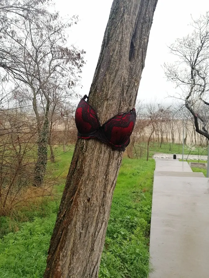 Copacul cu sutien. „L-au îmbrăcat așa, ca să nu-l taie muncitorii!” – foto 3