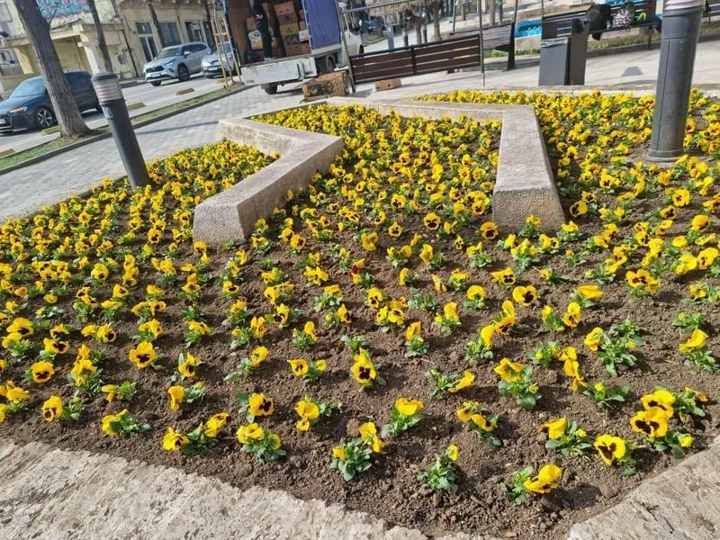 „Galeriile” Constanța – pe o parte se sapă, pe alta se plantează  – foto 2