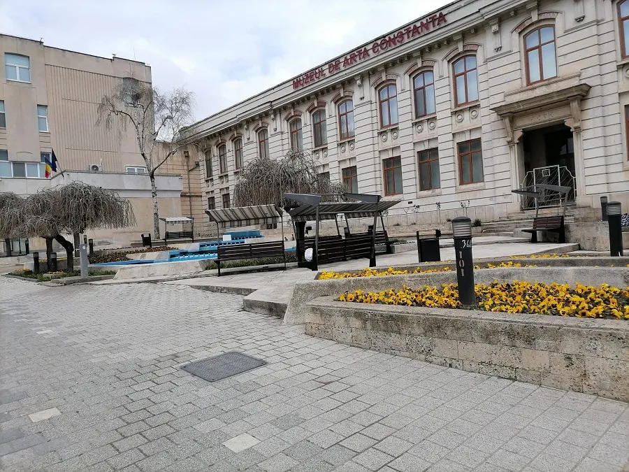 Vai, mulțumim! Ne consolați cu panseluțe, ca să uităm de copacii tăiați! – foto 4