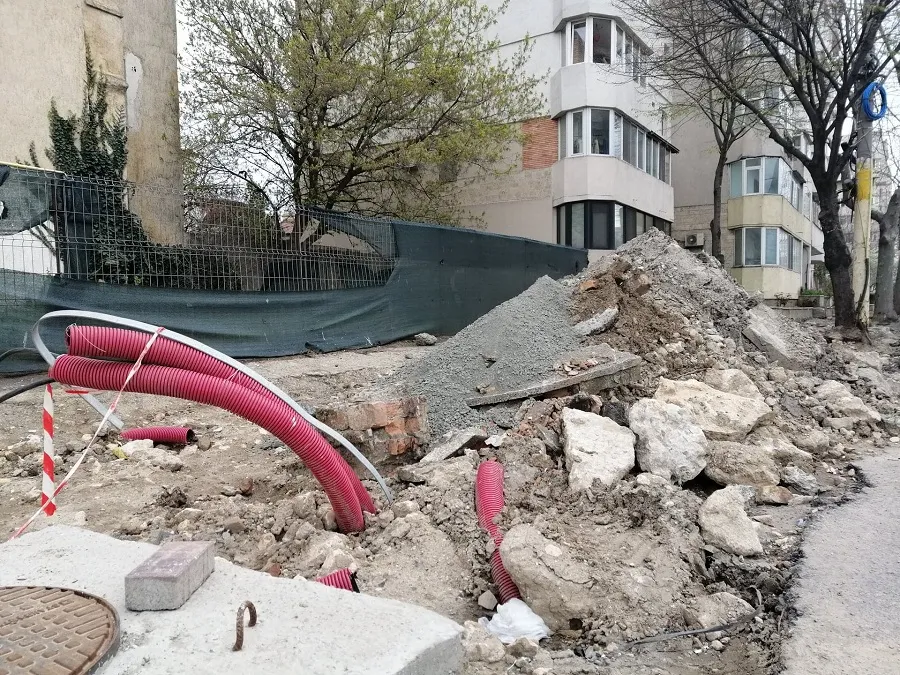 Copaci salvați, după intervenția Observator Constanța – foto 8