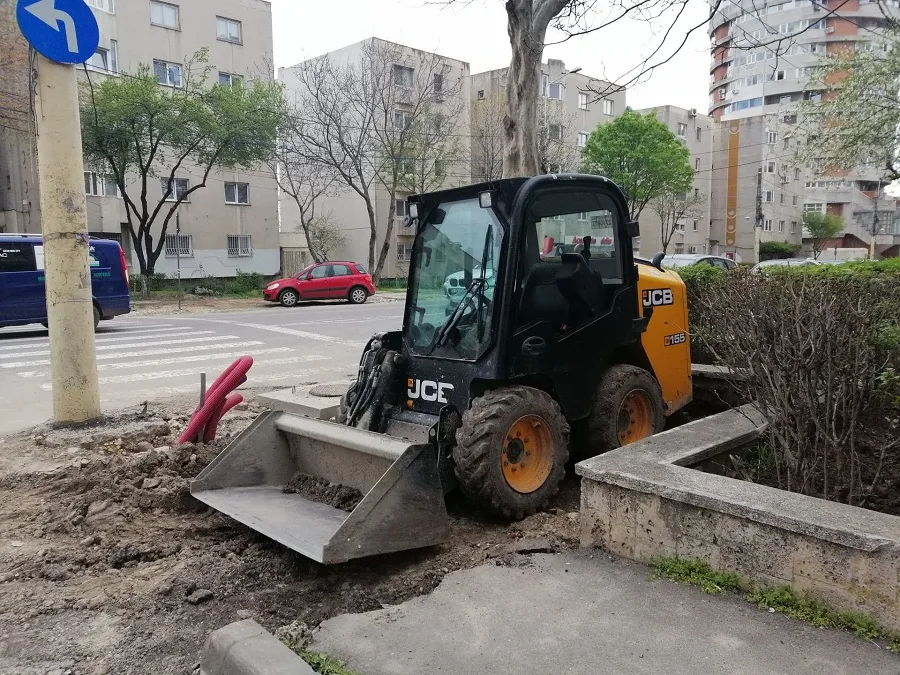 Copaci salvați, după intervenția Observator Constanța – foto 4
