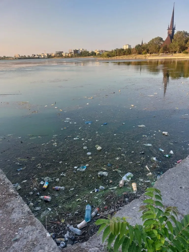 Lacul Tăbăcărie, între peisaj lacustru de vis și focar de infecție – foto 4