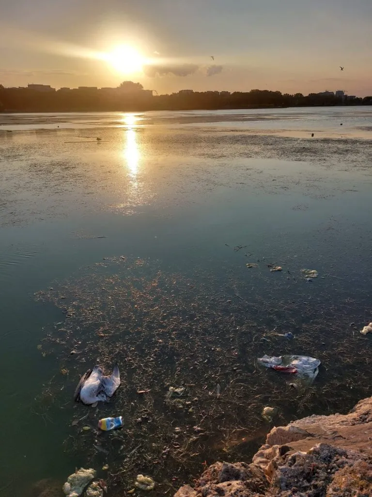 Lacul Tăbăcărie, între peisaj lacustru de vis și focar de infecție – foto 7