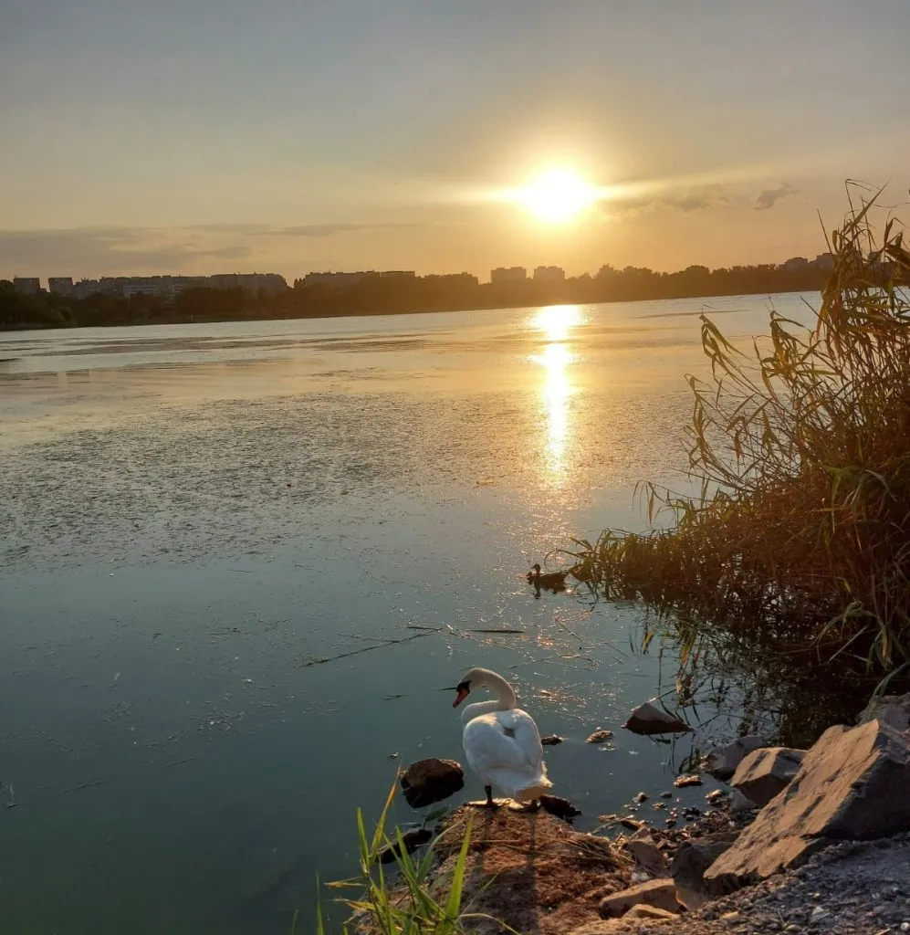 Lacul Tăbăcărie, între peisaj lacustru de vis și focar de infecție – foto 2