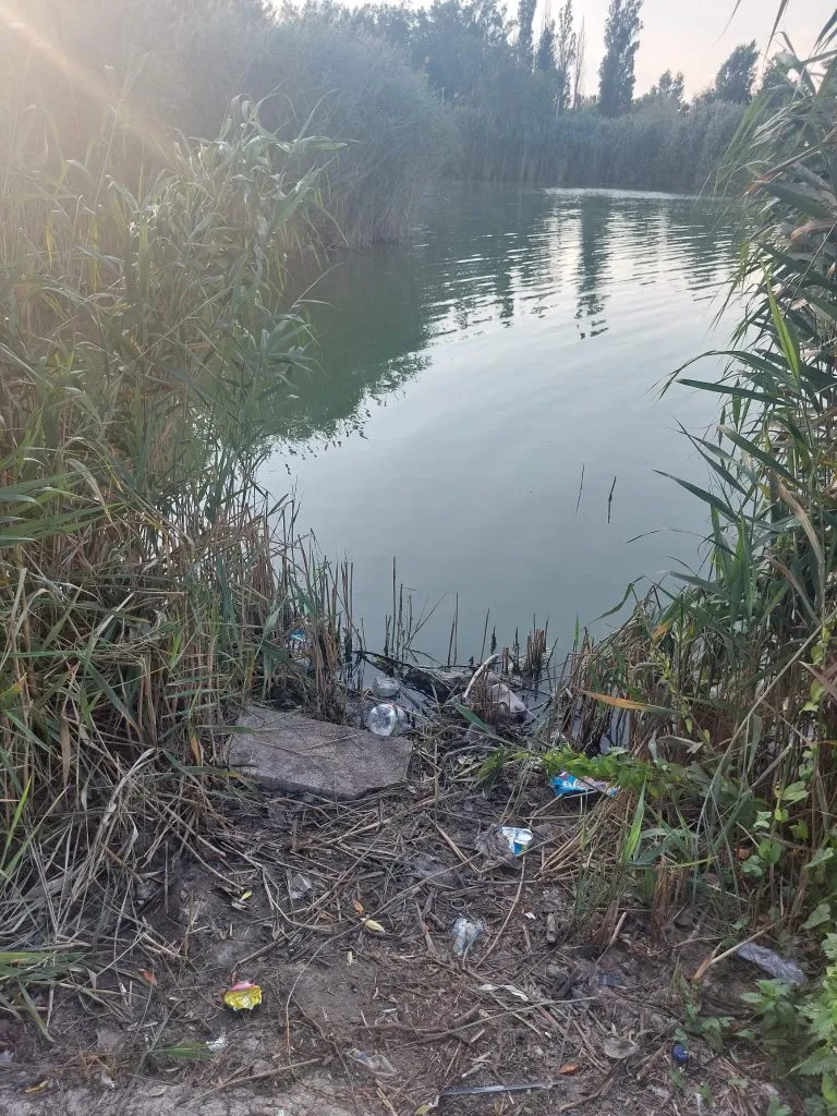 Lacul Tăbăcărie, între peisaj lacustru de vis și focar de infecție – foto 5