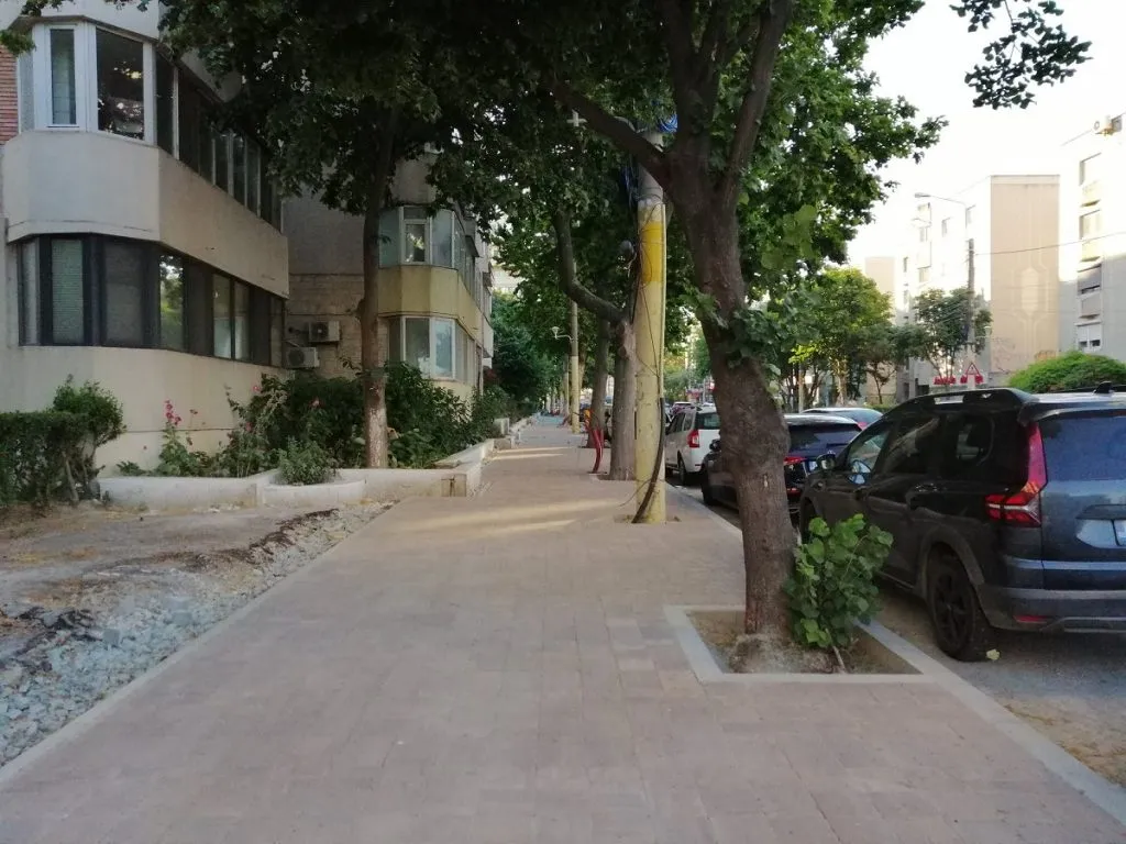 Abia și-au revenit copacii, iar Dorel le toarnă ciment la rădăcină! – foto 4