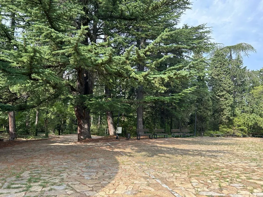 Când pădurea e parc-bijuterie, nu coș de gunoi sau pârloagă. Parcul Ayazmoto, Stara Zagora (FOTO)  – foto 2