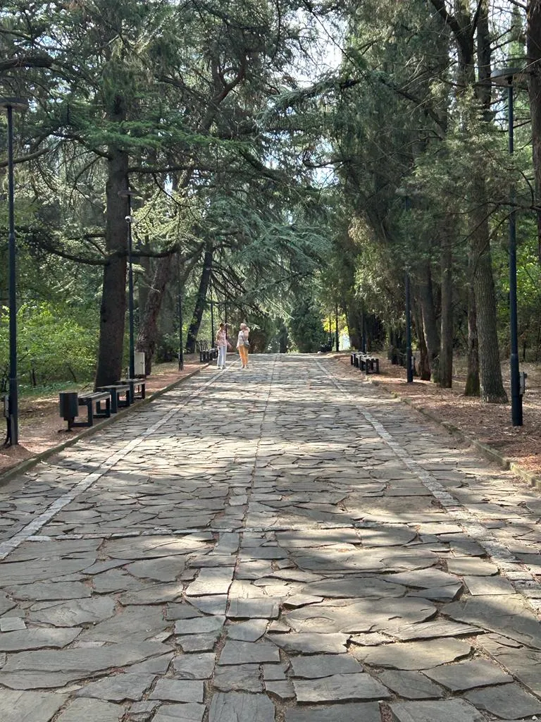 Când pădurea e parc-bijuterie, nu coș de gunoi sau pârloagă. Parcul Ayazmoto, Stara Zagora (FOTO)  – foto 8