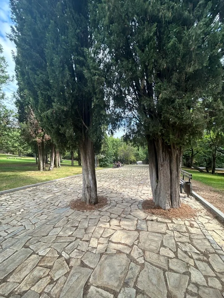 Când pădurea e parc-bijuterie, nu coș de gunoi sau pârloagă. Parcul Ayazmoto, Stara Zagora (FOTO)  – foto 4