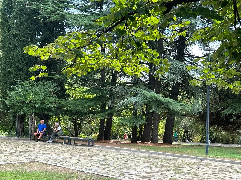 Când pădurea e parc-bijuterie, nu coș de gunoi sau pârloagă. Parcul Ayazmoto, Stara Zagora (FOTO)  – foto 17